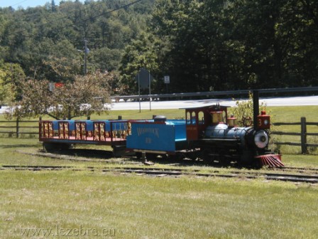 live steam crown metal product